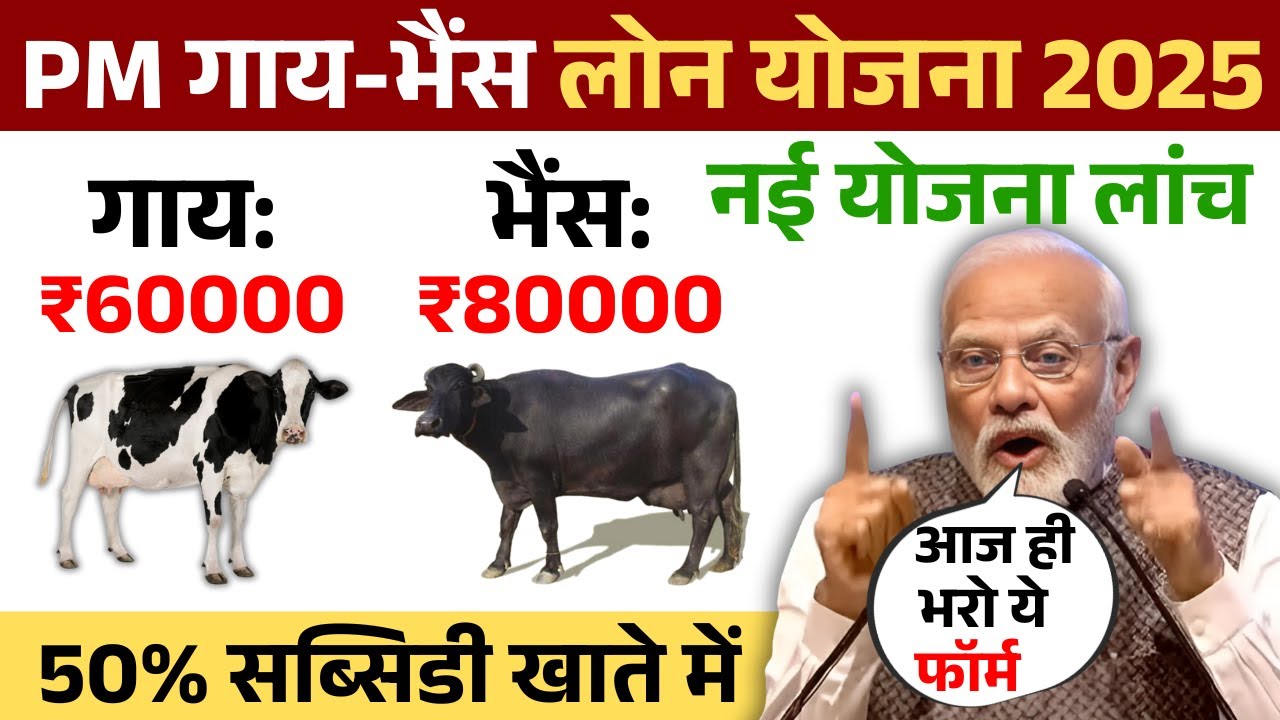 Pashupalan Loan:मोदी सरकार दे रही गाय भैंस वालों को 1.60 लख रुपए का लोन,यहाँ से करें आवेदन