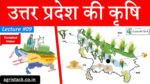 UP Agriculture:उत्तर प्रदेश सरकार इसकी खेती दे रही बंपर अनुदान, यहाँ से करना होगा आवेदन